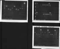 Obuka septembar 2013